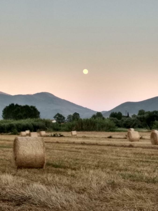 مبيت وإفطار فوندي Il Giardino Delle Zagare المظهر الخارجي الصورة